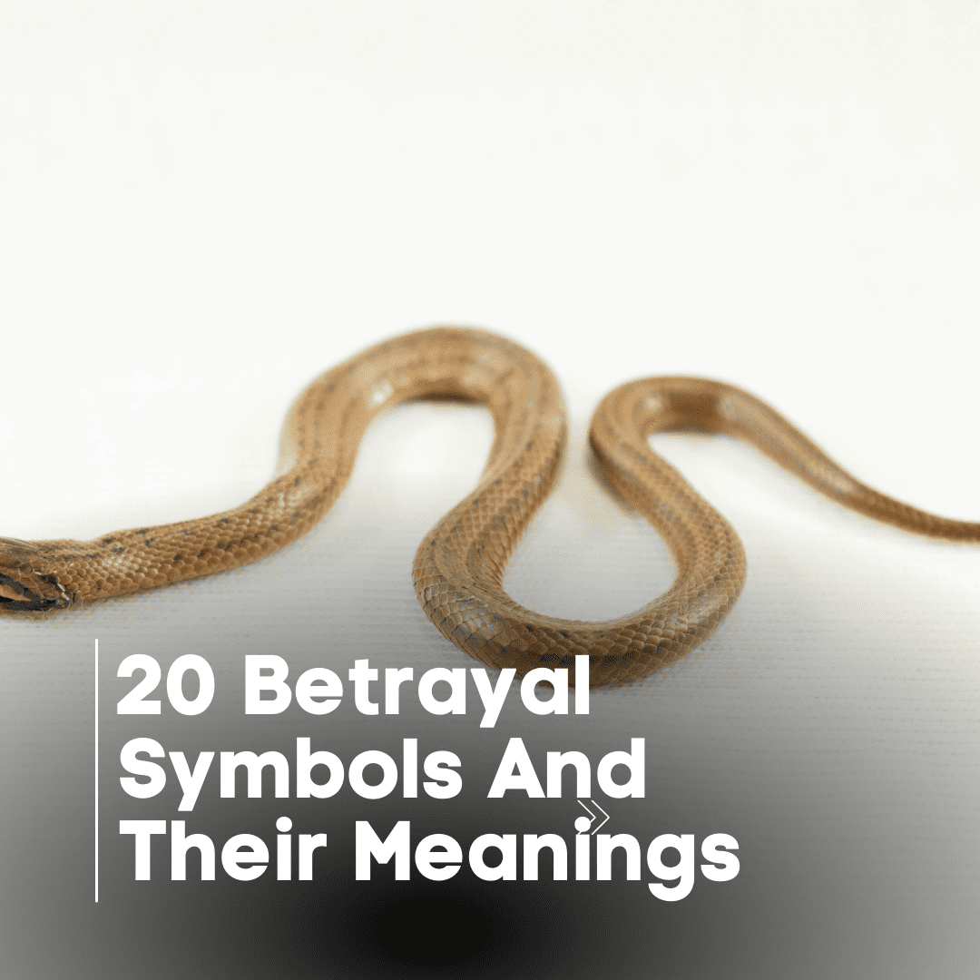 20 Betrayal Symbols And Their Meanings